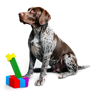 German Shorthaired Pointer Sitting PNG Tlh97 PNG