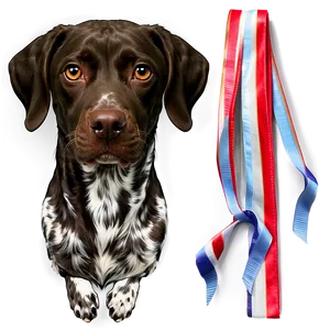 German Shorthaired Pointer With Ribbon PNG 06292024