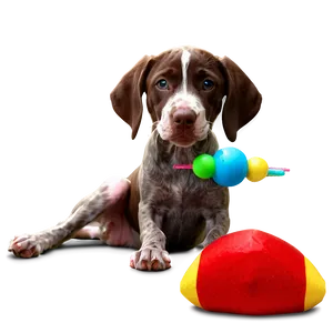 German Shorthaired Pointer With Toys PNG 06292024