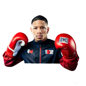 Gervonta Davis Boxing Gear Png 2 PNG image