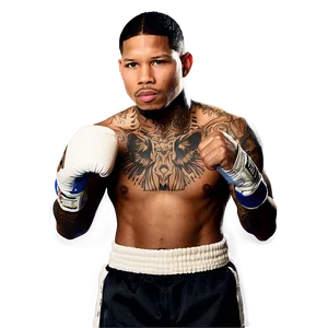 Gervonta Davis Career Milestone PNG 80