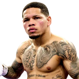 Gervonta Davis Early Career Highlight PNG 06202024 PNG