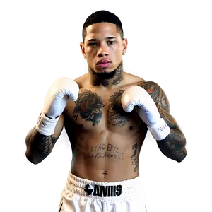 Gervonta Davis Early Career Highlight PNG 06202024 PNG