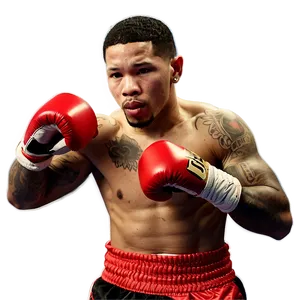 Gervonta Davis Fight Night Focus Png 31 PNG image