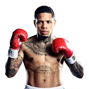 Gervonta Davis Knockout Punch Png 70 PNG image