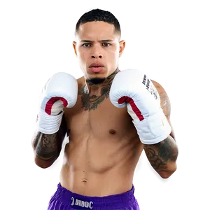 Gervonta Davis Powerful Jab PNG 34