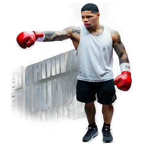 Gervonta Davis Public Workout PNG 13 PNG