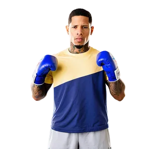 Gervonta Davis Punching Bag Workout Png Iur46 PNG image