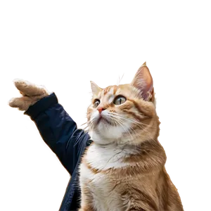 Giant Cat Meme PNG 49