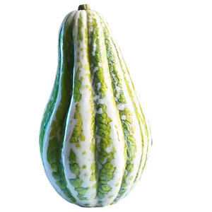 Giant Gourd PNG 89