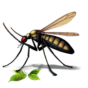 Giant Mosquito Png 05242024 PNG image
