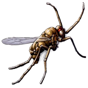 Giant Mosquito Png Exw49 PNG image