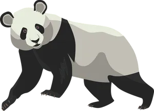 Giant Panda Illustration PNG image