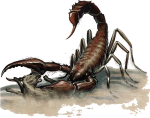 Giant Scorpion Attacking Wolf PNG image