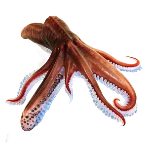 Giant Squid Image PNG 05242024