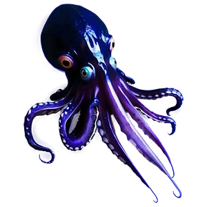 Giant Squid Image PNG 51