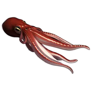 Giant Squid Image PNG 97