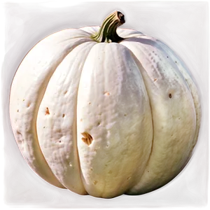 Giant White Pumpkin PNG Gfh PNG