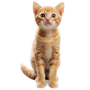 Ginger Kitten PNG 36