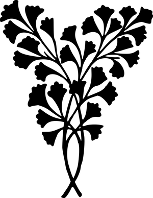 Ginkgo Biloba Silhouette PNG
