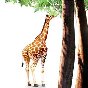 Giraffe Amongst The Trees PNG Htk2 PNG
