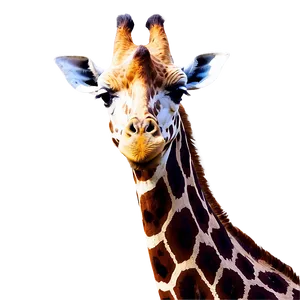 Giraffe Blend Into Nature PNG 05062024 PNG
