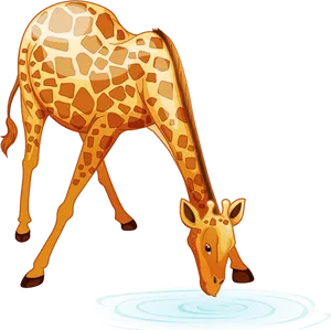 Giraffe Drinking Water Cartoon PNG image