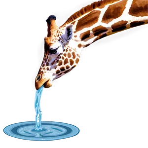 Giraffe Drinking Water PNG Jnb14