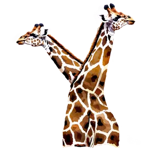 Giraffe Duo In Nature PNG 78