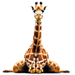 Giraffe Family Sunset PNG 05062024