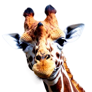 Giraffe In Pastel Colors Png Isp PNG image
