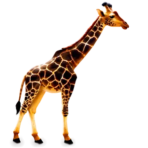 Giraffe Shadow Art PNG 05062024