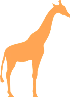 Giraffe Silhouette Graphic PNG image