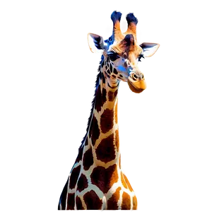 Giraffe With Colorful Spots PNG 05062024
