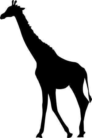 Giraffein Darkness.jpg