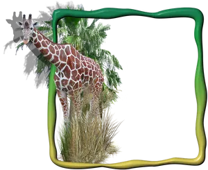 Giraffein Frame