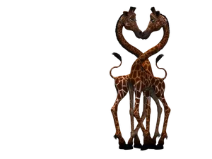 Giraffesin Love Dark Background PNG image