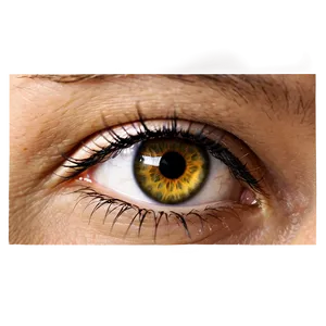 Glamorous Lash Extensions PNG Kvw PNG