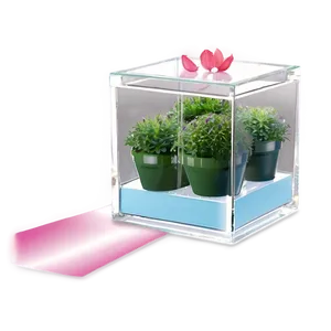Glass Box Centerpiece PNG Wnr