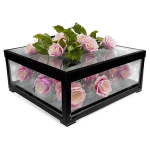 Glass Box For Flowers PNG Xat