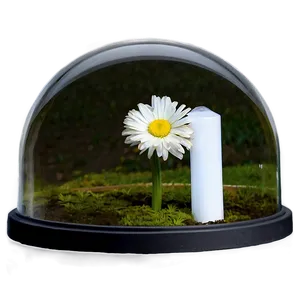Glass Dome Centerpiece PNG 41
