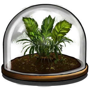 Glass Dome For Plants PNG 4
