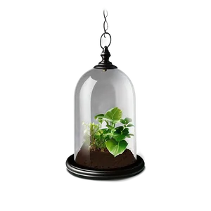 Glass Dome For Plants PNG Cjx