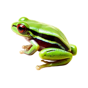 Glass Tree Frog Png Dvc94 PNG image