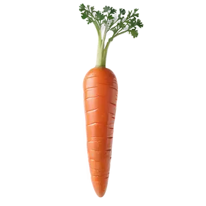 Glazed Carrot PNG Qtd PNG