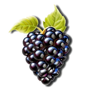 Glistening Blackberry PNG 05232024