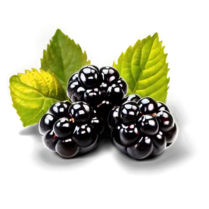 Glistening Blackberry PNG Nop29