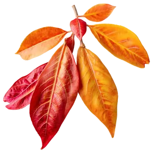 Glistening Fall Leaves PNG Cij4