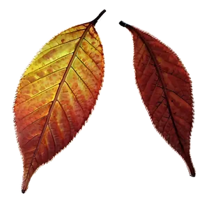 Glistening Fall Leaves Png Ild4 PNG image