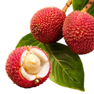 Glistening Fresh Lychee PNG 36